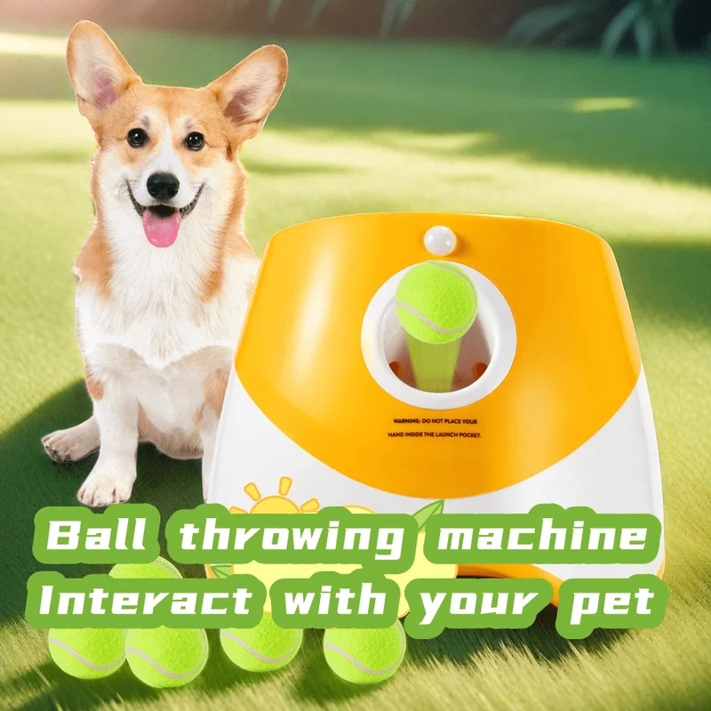 Automatischer Hundewurfautomat – Catapult Launcher Toy Bewertung und Preis