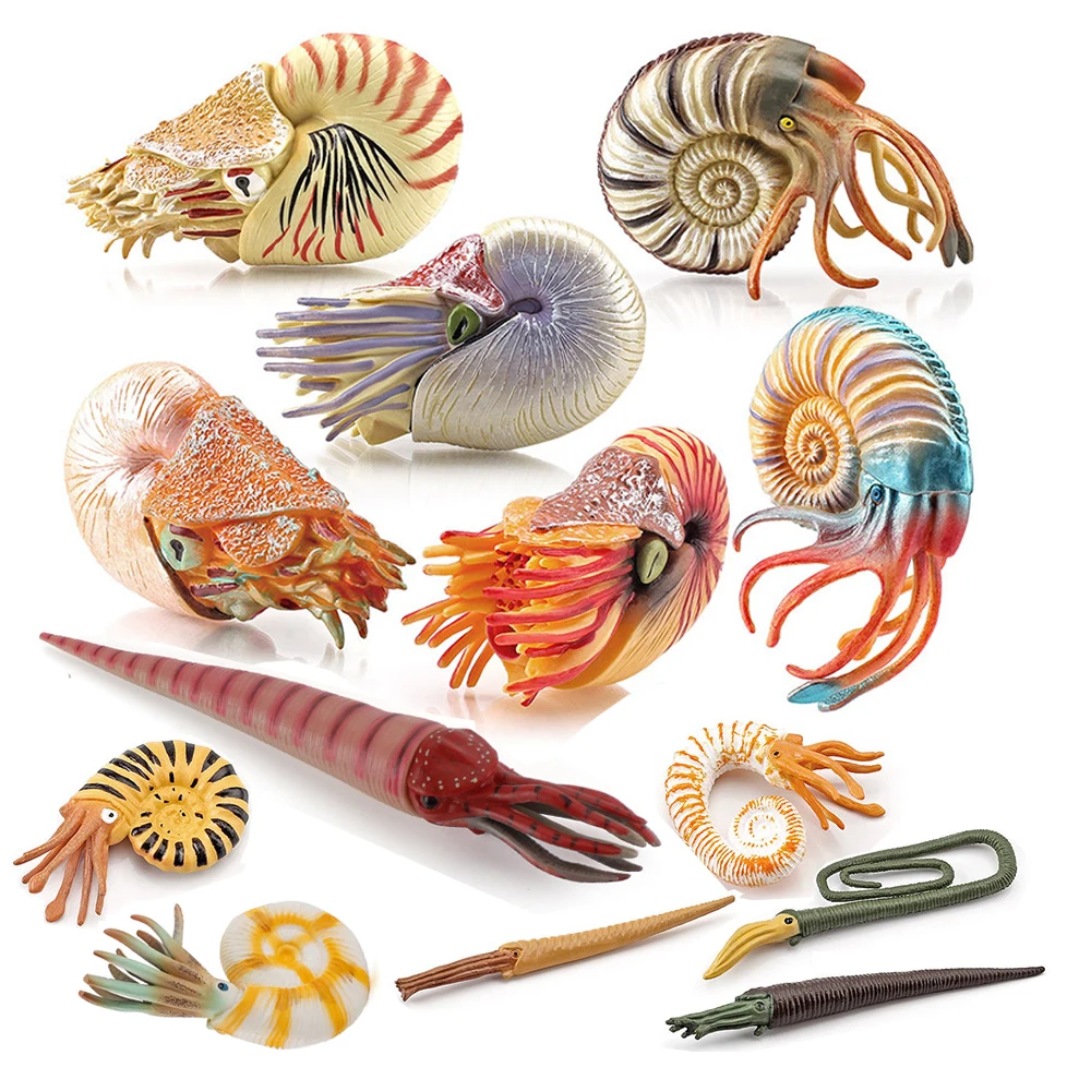 Meeres-Tierfiguren Nautilus Fi – Kids Toys Reviews Bewertung und Preis
